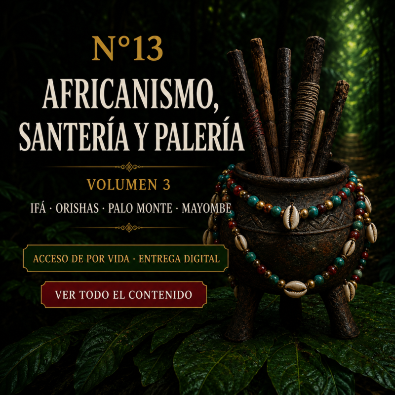 N13: VOLUMEN 3 LIBROS DE AFRICANISMO, SANTERIA Y PALERÍA