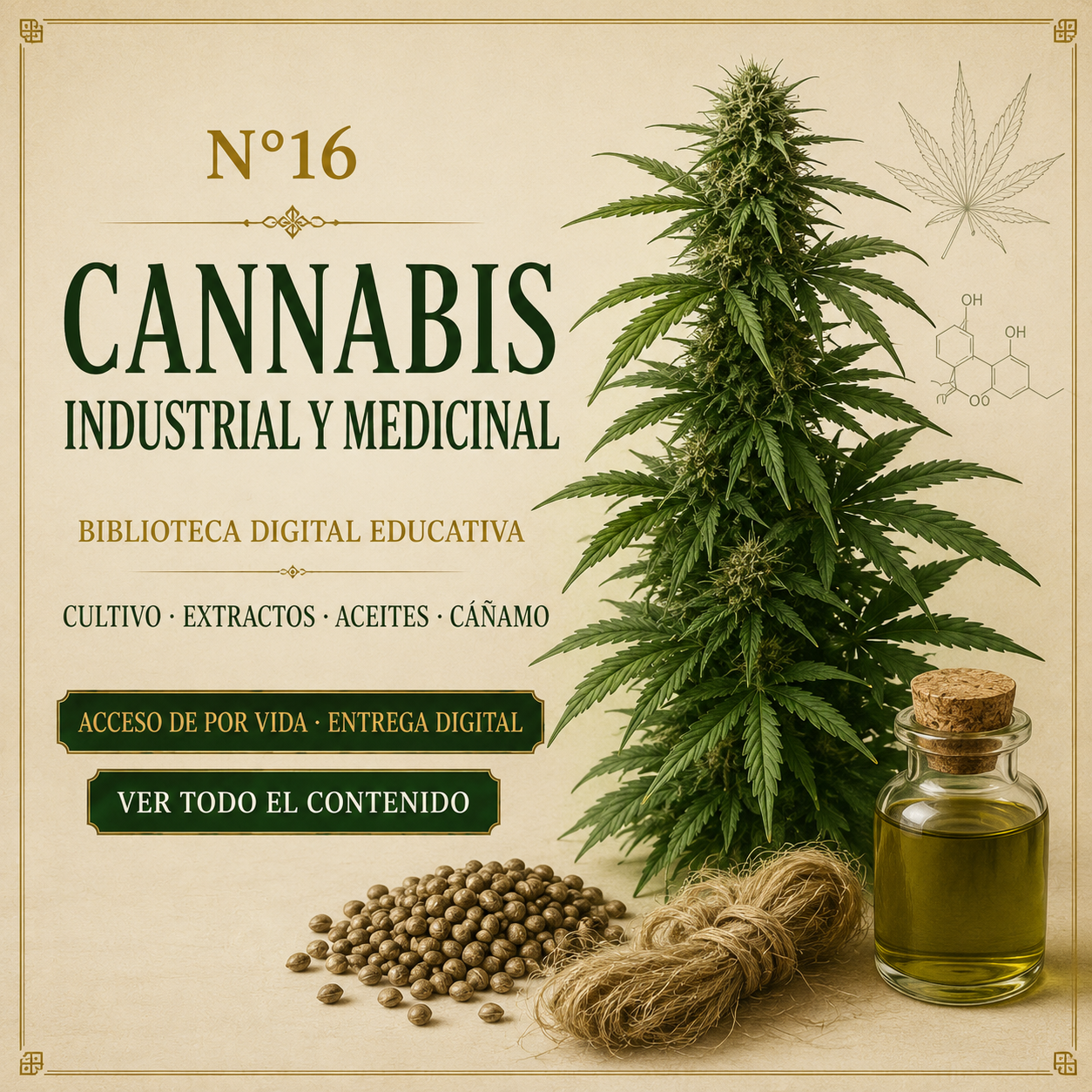 N16: CANNABIS INDUSTRIAL Y MEDICINAL